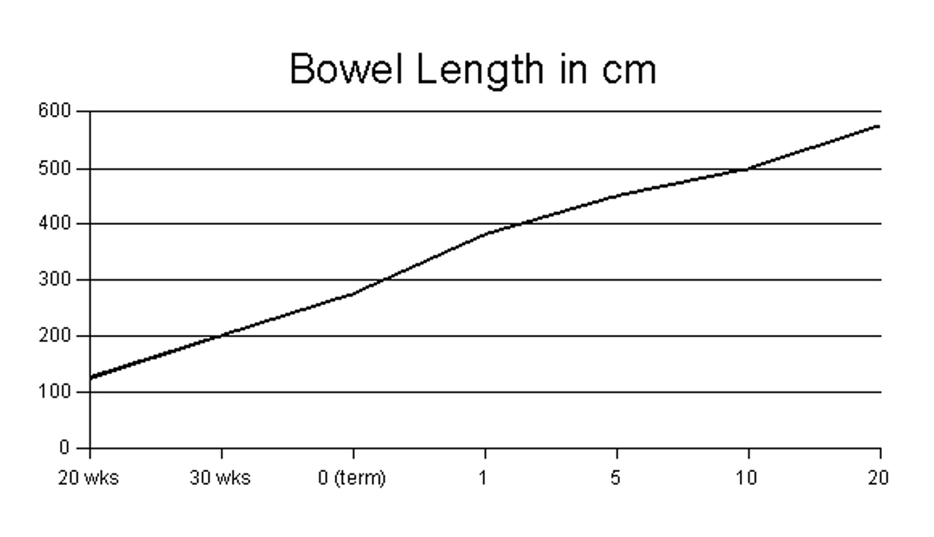 Bowel Lenght vs Age